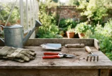 Herramientas básicas de jardinería para principiantes